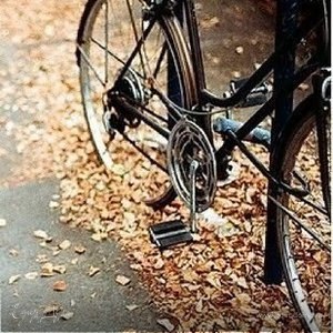 Фотография профиля