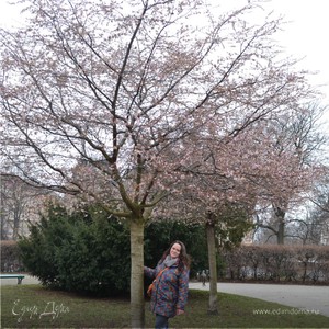 Фотография профиля