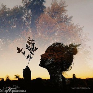 Фотография профиля