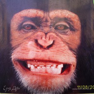 Фотография профиля