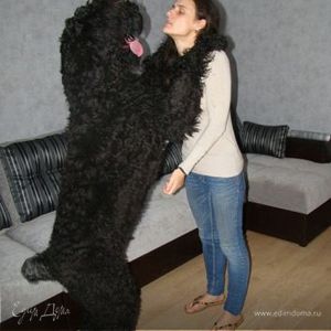 Фотография профиля