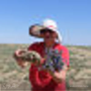 Фотография профиля