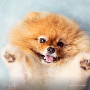 Фотография профиля