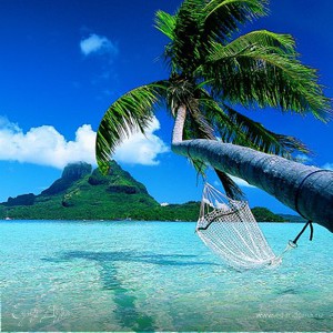 Фотография профиля