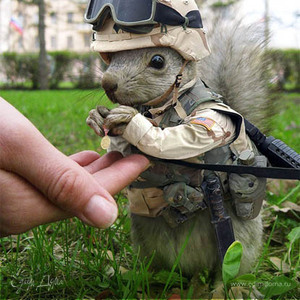 Фотография профиля