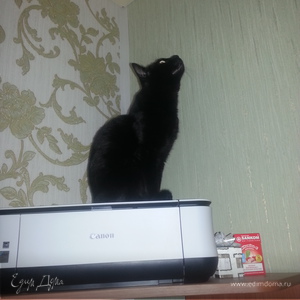 Фотография профиля