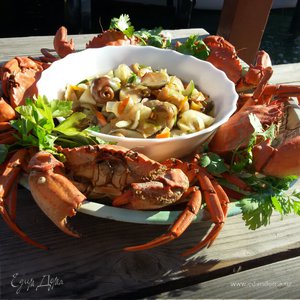 Фотография профиля