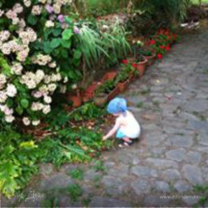 Фотография профиля