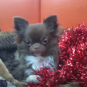 Фотография профиля