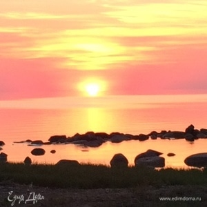 Фотография профиля