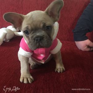 Фотография профиля