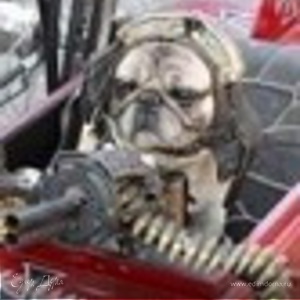 Фотография профиля