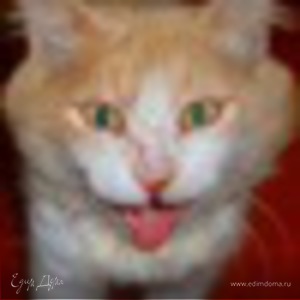 Фотография профиля