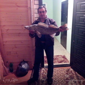 Фотография профиля