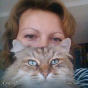 Фотография профиля