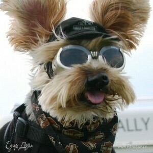 Фотография профиля