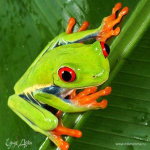 Фотография профиля