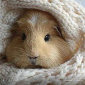 Фотография профиля