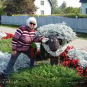 Фотография профиля