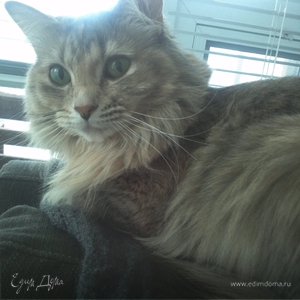 Фотография профиля