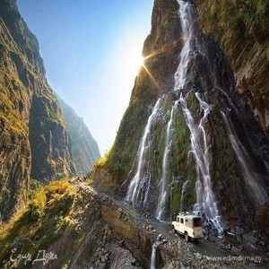 Фотография профиля