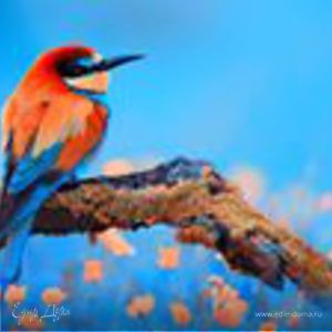 Фотография профиля