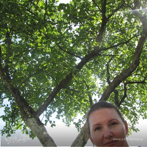 Фотография профиля