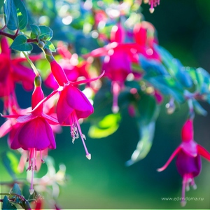 Фотография профиля