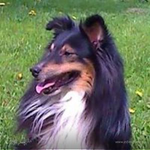 Фотография профиля