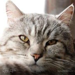 Фотография профиля