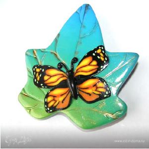 Фотография профиля