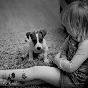 Фотография профиля