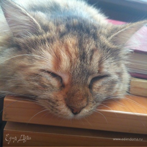 Фотография профиля