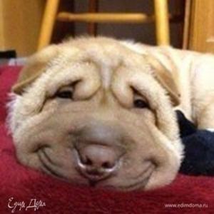 Фотография профиля