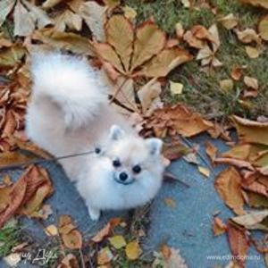 Фотография профиля