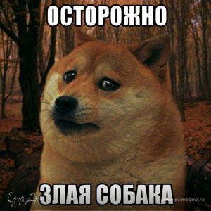 Фотография профиля