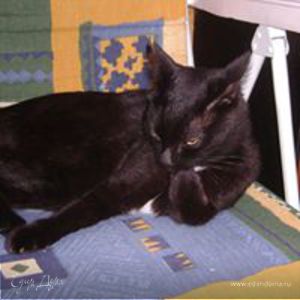 Фотография профиля