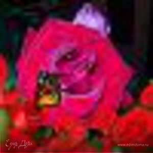 Фотография профиля