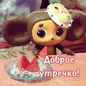 Фотография профиля