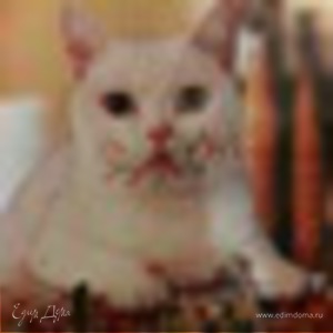 Фотография профиля