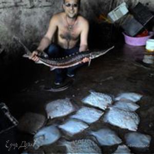 Фотография профиля