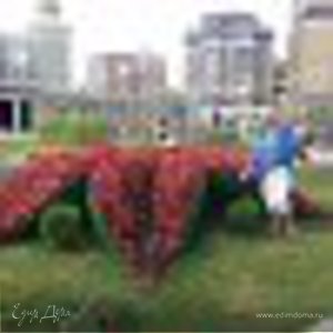 Фотография профиля