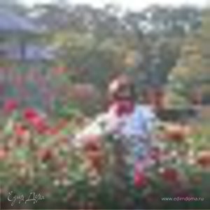 Фотография профиля