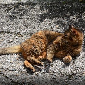 Фотография профиля