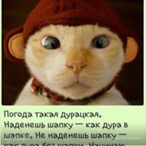 Фотография профиля