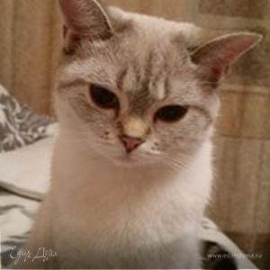 Фотография профиля