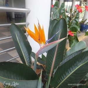 Фотография профиля