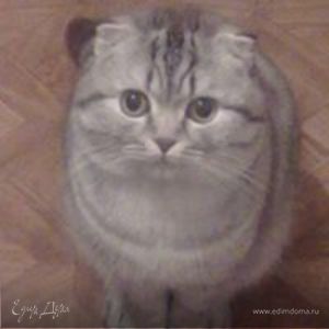 Фотография профиля