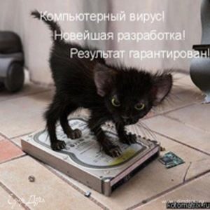 Фотография профиля
