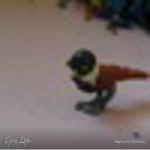 Фотография профиля